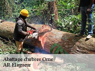 Abattage d'arbres 61 Orne AR Elagueur