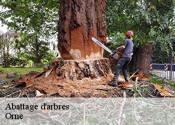 Abattage d'arbres Orne 