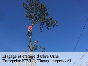 Elagage et etetage d'arbre 61 Orne  Entreprise KIVIG, Elagage express 61