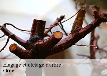 Elagage et etetage d'arbre Orne 