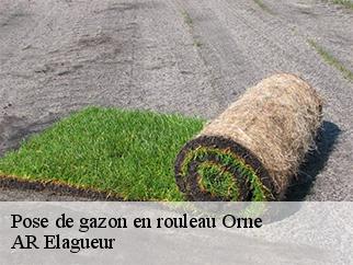 Pose de gazon en rouleau 61 Orne AR Elagueur