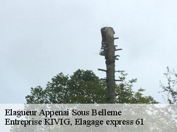 Elagueur  appenai-sous-belleme-61130 Entreprise KIVIG, Elagage express 61