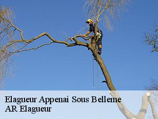 Elagueur  appenai-sous-belleme-61130 Entreprise KIVIG, Elagage express 61