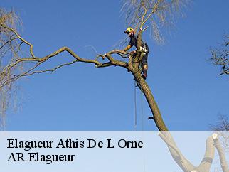 Elagueur athis-de-l-orne-61430 Entreprise KIVIG, Elagage express 61