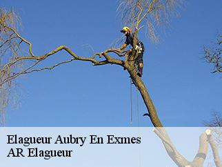 Elagueur  aubry-en-exmes-61160 AR Elagueur