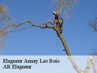 Elagueur  aunay-les-bois-61500 Entreprise KIVIG, Elagage express 61