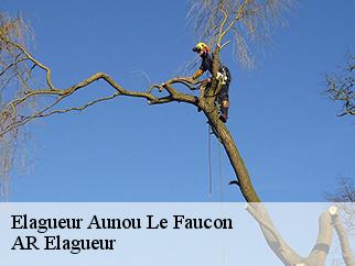 Elagueur  aunou-le-faucon-61200 Entreprise KIVIG, Elagage express 61