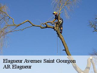 Elagueur  avernes-saint-gourgon-61470 Entreprise KIVIG, Elagage express 61