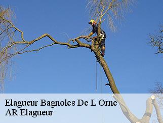 Elagueur  bagnoles-de-l-orne-61140 Entreprise KIVIG, Elagage express 61