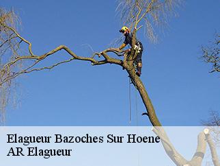 Elagueur  bazoches-sur-hoene-61560 Entreprise KIVIG, Elagage express 61