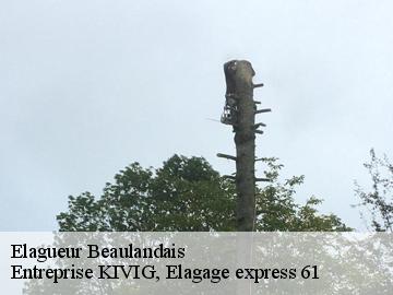 Elagueur  beaulandais-61140 Entreprise KIVIG, Elagage express 61