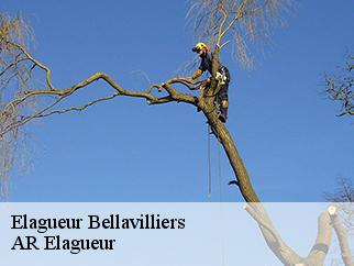 Elagueur  bellavilliers-61360 Entreprise KIVIG, Elagage express 61