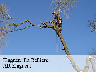 Elagueur la-belliere-61570 AR Elagueur