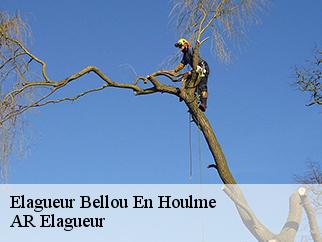 Elagueur bellou-en-houlme-61220 AR Elagueur