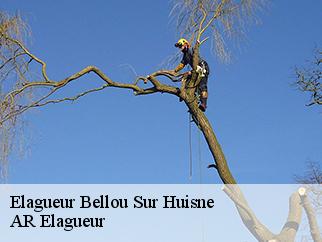 Elagueur  bellou-sur-huisne-61110 Entreprise KIVIG, Elagage express 61