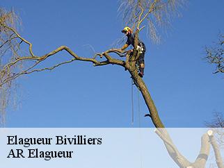 Elagueur bivilliers-61190 AR Elagueur