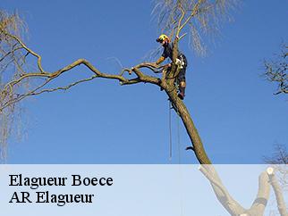 Elagueur boece-61560 AR Elagueur