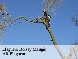 Elagueur boissy-maugis-61110 Entreprise KIVIG, Elagage express 61