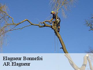 Elagueur bonnefoi-61270 AR Elagueur