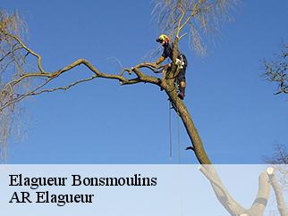Elagueur bonsmoulins-61380 AR Elagueur