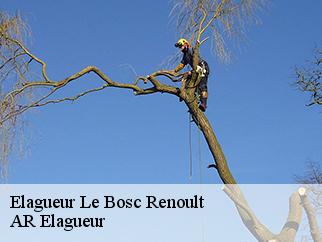 Elagueur  le-bosc-renoult-61470 Entreprise KIVIG, Elagage express 61