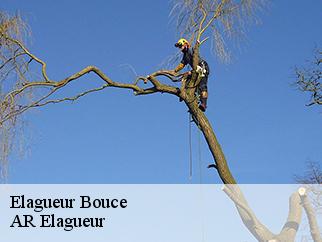Elagueur bouce-61570 AR Elagueur