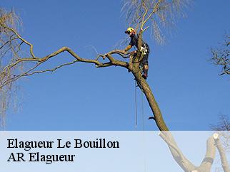 Elagueur le-bouillon-61500 AR Elagueur