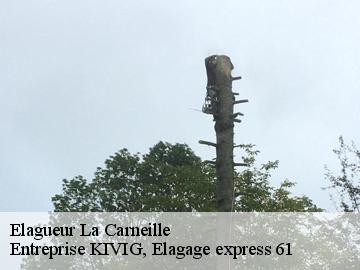Elagueur  la-carneille-61100 Entreprise KIVIG, Elagage express 61