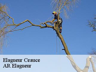 Elagueur ceauce-61330 AR Elagueur