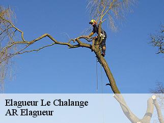 Elagueur le-chalange-61390 Entreprise KIVIG, Elagage express 61