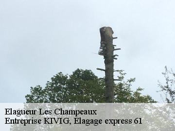 Elagueur  les-champeaux-61120 Entreprise KIVIG, Elagage express 61