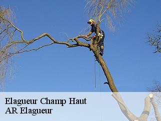 Elagueur  champ-haut-61240 Entreprise KIVIG, Elagage express 61