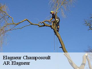 Elagueur champosoult-61120 AR Elagueur