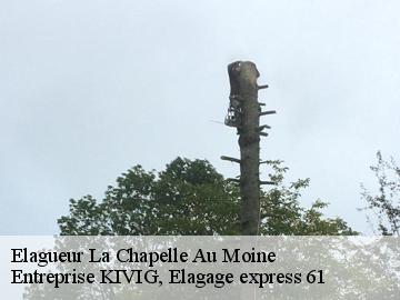 Elagueur  la-chapelle-au-moine-61100 Entreprise KIVIG, Elagage express 61