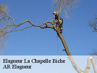 Elagueur la-chapelle-biche-61100 Entreprise KIVIG, Elagage express 61