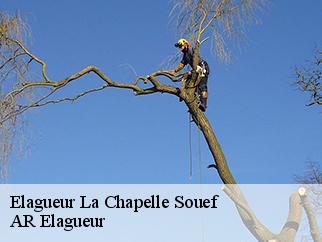 Elagueur la-chapelle-souef-61130 Entreprise KIVIG, Elagage express 61