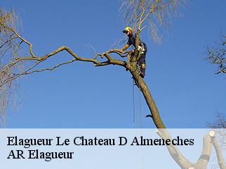 Elagueur le-chateau-d-almeneches-61570 Entreprise KIVIG, Elagage express 61
