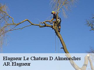 Elagueur  le-chateau-d-almeneches-61570 Entreprise KIVIG, Elagage express 61