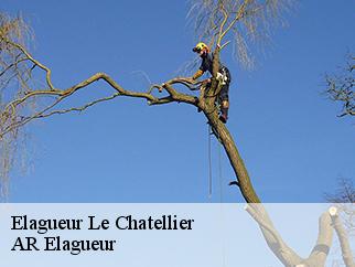 Elagueur le-chatellier-61450 Entreprise KIVIG, Elagage express 61