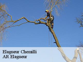 Elagueur chemilli-61360 AR Elagueur