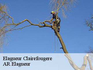 Elagueur  clairefougere-61800 Entreprise KIVIG, Elagage express 61