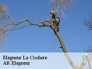 Elagueur la-cochere-61310 AR Elagueur