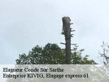 Elagueur  conde-sur-sarthe-61250 Entreprise KIVIG, Elagage express 61