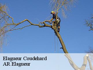 Elagueur coudehard-61160 AR Elagueur