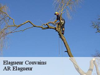 Elagueur  couvains-61550 Entreprise KIVIG, Elagage express 61