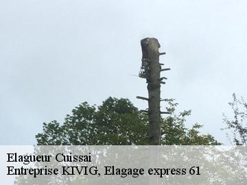 Elagueur  cuissai-61250 Entreprise KIVIG, Elagage express 61