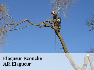 Elagueur  ecouche-61150 Entreprise KIVIG, Elagage express 61