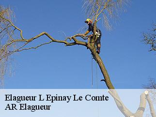 Elagueur l-epinay-le-comte-61350 AR Elagueur