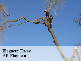 Elagueur  essay-61500 AR Elagueur