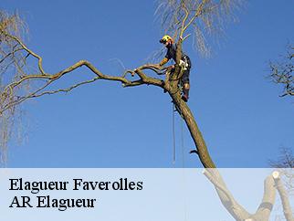 Elagueur  faverolles-61600 AR Elagueur